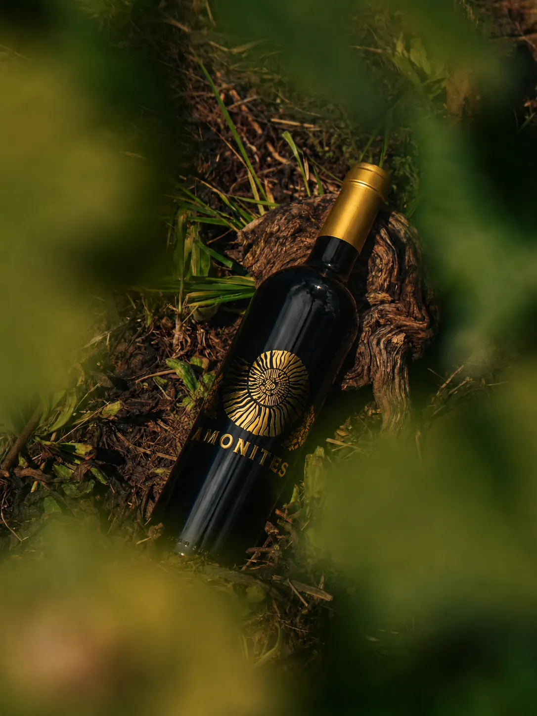 Botella de Difunta · Cabernet Franc