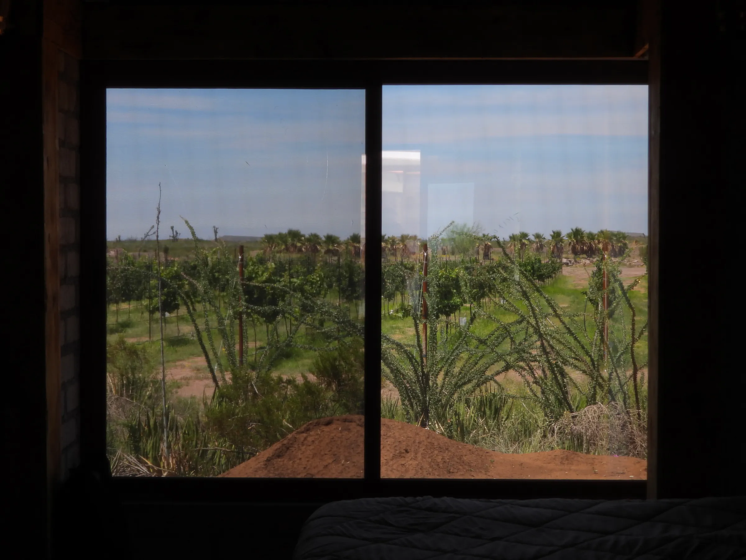 Villa Septo en Viñedo Amonites